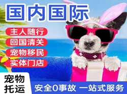 北京首都机场物流国际宠物托运 【国